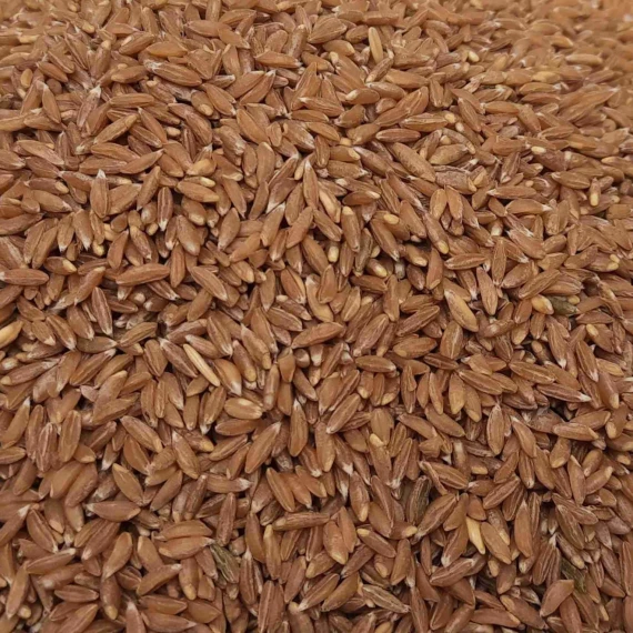 Jave Wheat Jave Wheat
